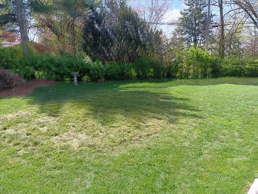 Trusted landscape installation for homes in Louisville, KY by Flawless Images Lawn and Landscaping