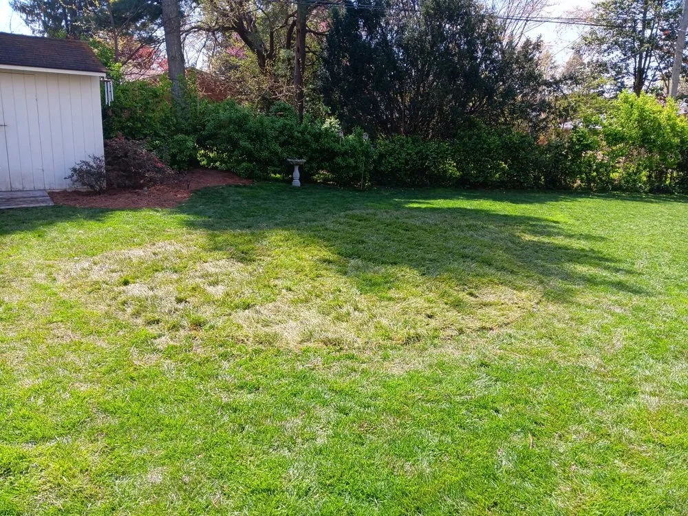 Top-rated residential landscaping experts serving Louisville, KY - Flawless Images Lawn and Landscaping