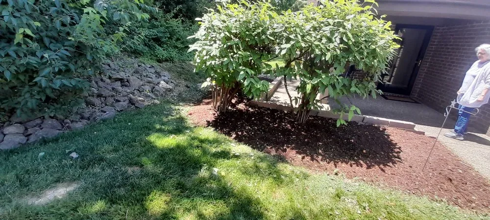 Affordable yard maintenance experts serving Louisville, KY - Flawless Images Lawn and Landscaping