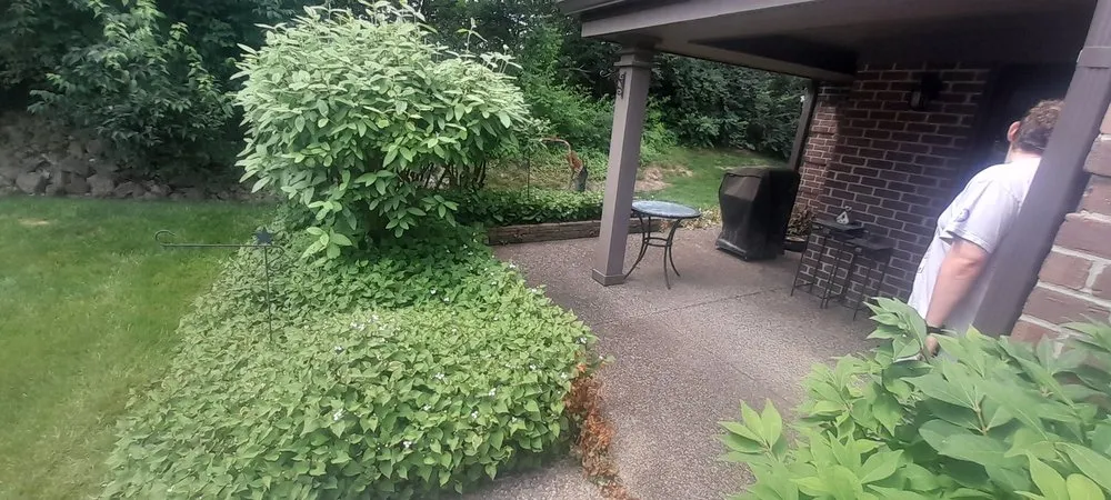 Reliable residential landscaping in Louisville, KY by Flawless Images Lawn and Landscaping