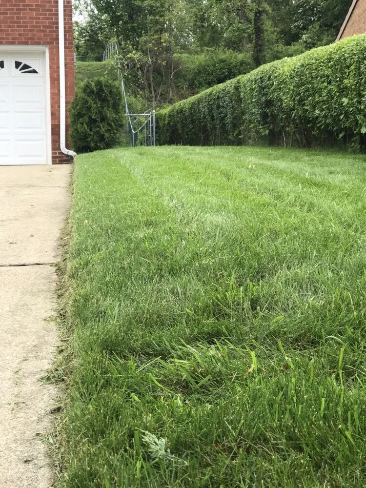 Reliable yard cleanup service in North Versailles, PA - Flawless Landscaping