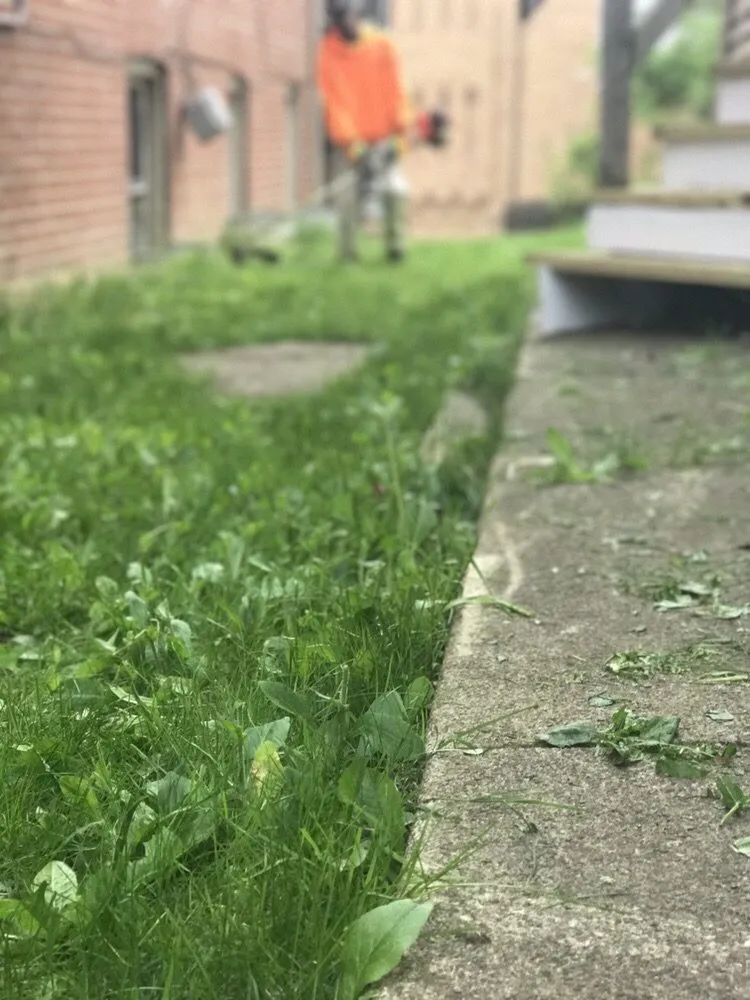 Trusted lawn care service in North Versailles, PA - Flawless Landscaping