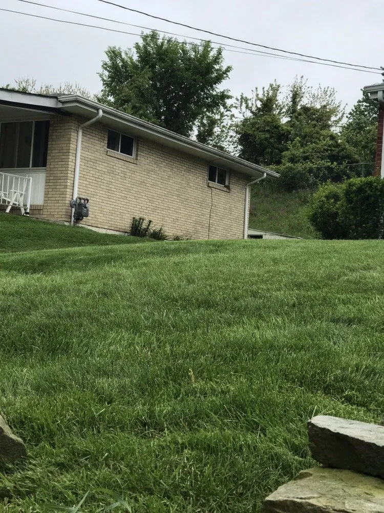 Custom yard cleanup service in North Versailles, PA - Flawless Landscaping