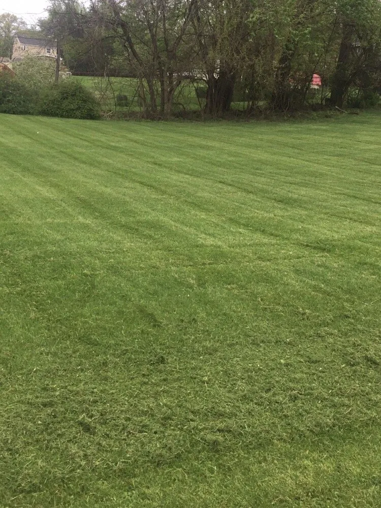 Reliable landscape design for year-round maintenance across North Versailles, PA - Flawless Landscaping