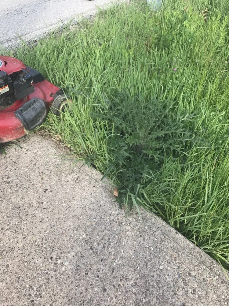 Trusted outdoor landscaping in North Versailles, PA by Flawless Landscaping