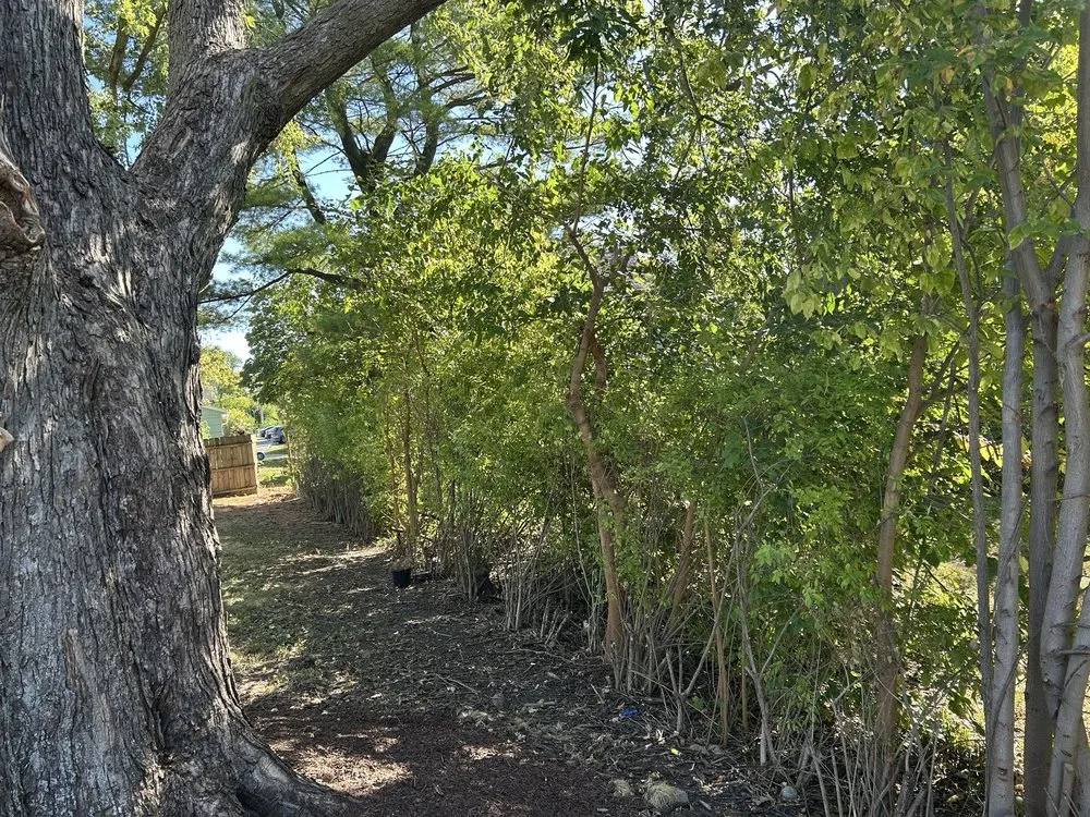 Custom residential landscaping in Rantoul, IL by Flawless Landscaping