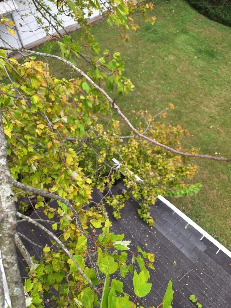 Top-rated yard cleanup service for homes in Rantoul, IL by Flawless Landscaping