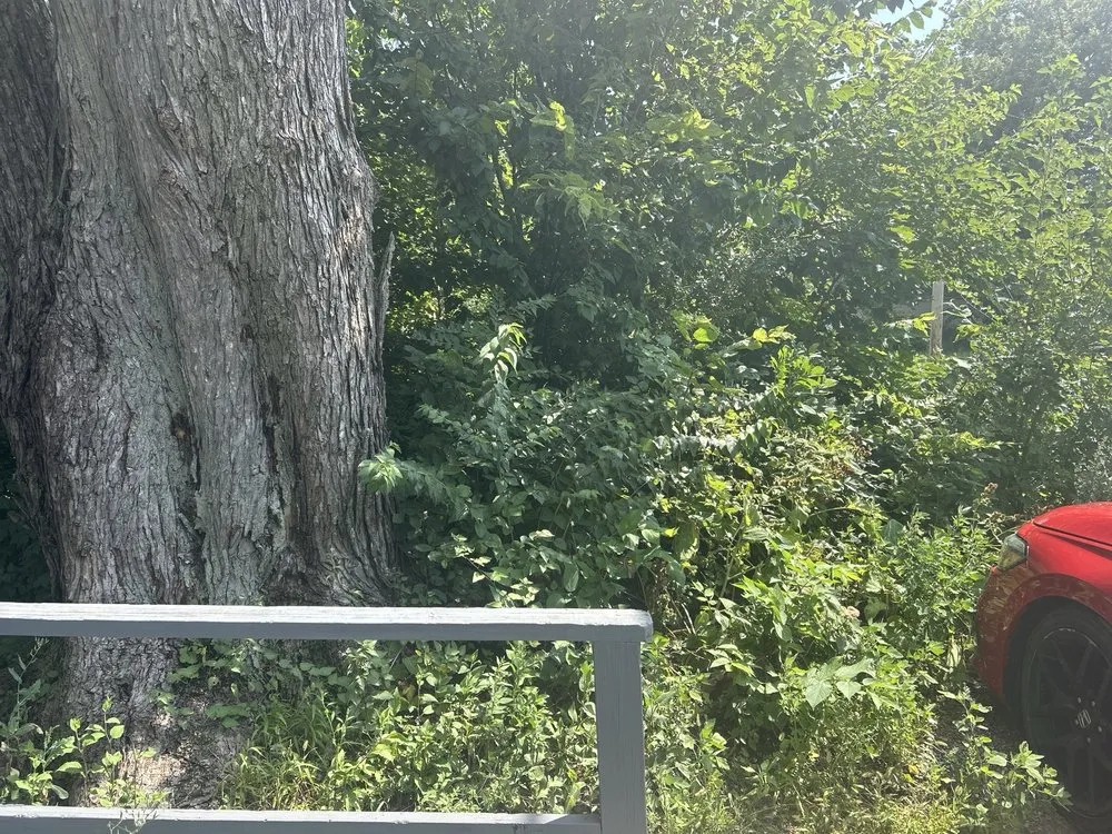 Reliable landscape design in Rantoul, IL - Flawless Landscaping