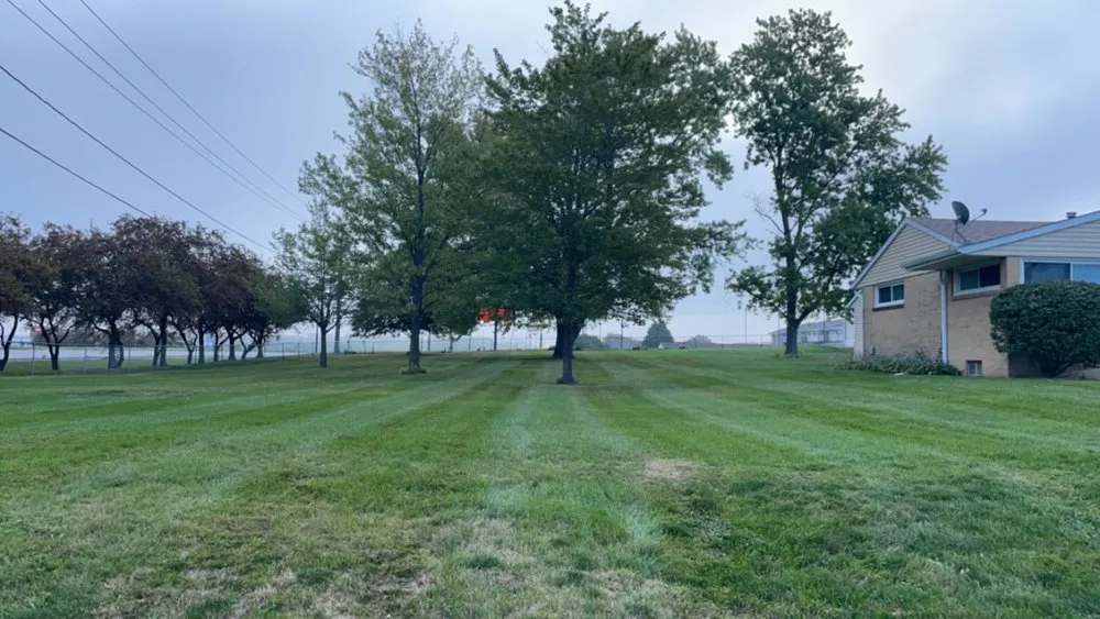Professional yard maintenance in Carlisle, IA - Flawless Lawns