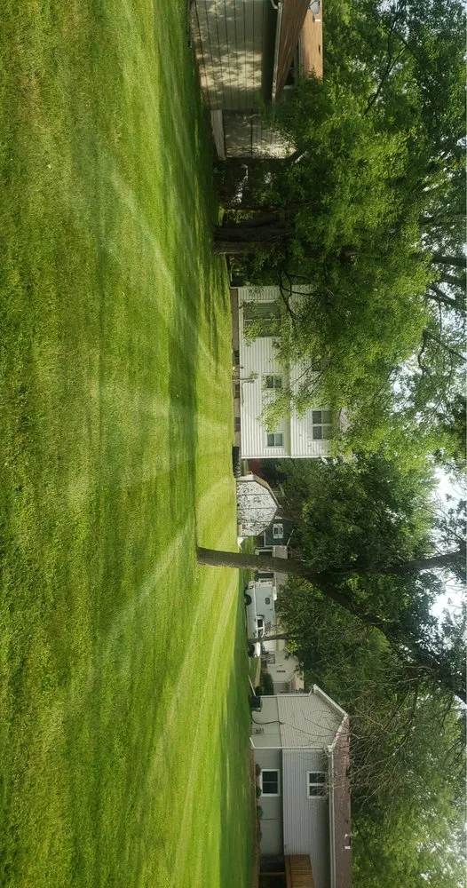 Custom landscape installation for beautiful yards across Carlisle, IA - Flawless Lawns