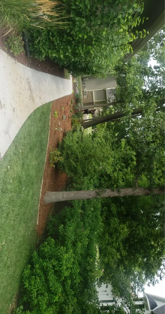 Top-rated landscaping services experts serving Carlisle, IA - Flawless Lawns