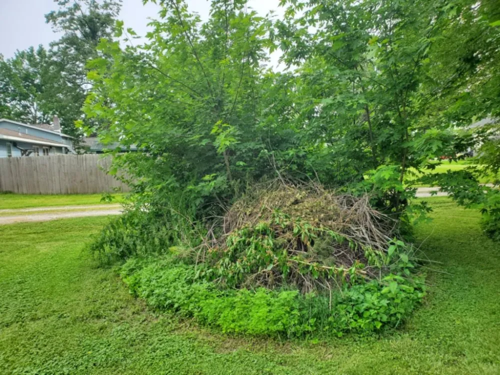 Top-rated garden landscaping in Effingham, IL - Flawless Property Solutions