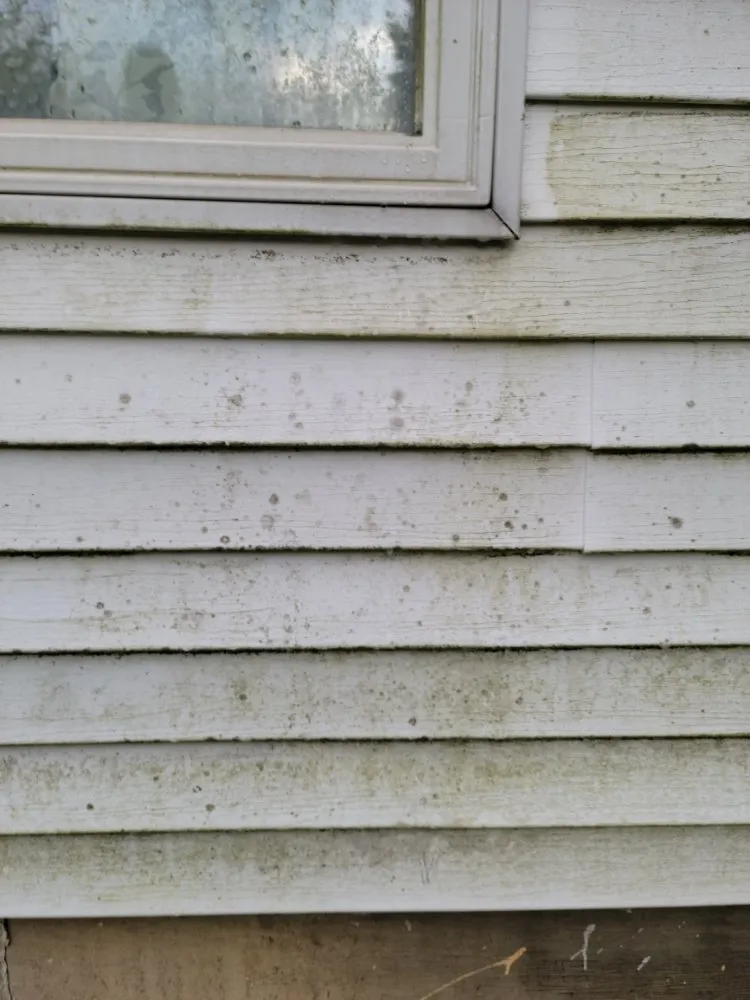 Top-rated residential landscaping near you across Effingham, IL - Flawless Property Solutions