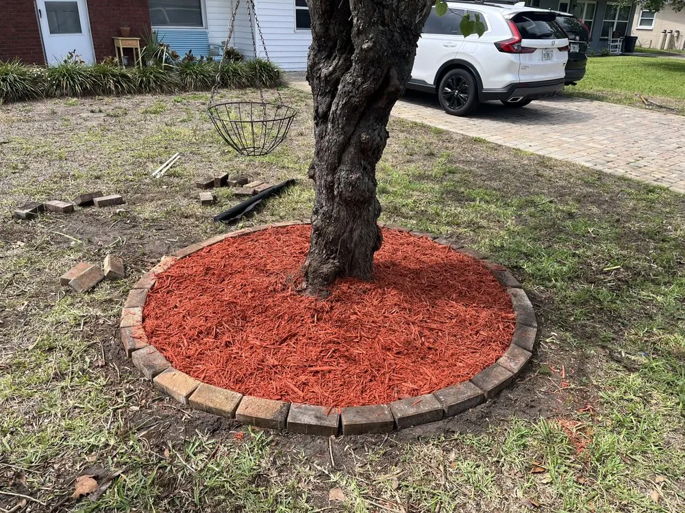 Top-rated yard cleanup service in Port Orange, FL - Flawless Reflections