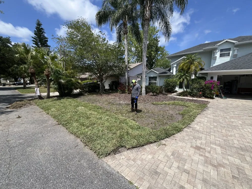 Local landscaping services for year-round maintenance in Port Orange, FL by Flawless Reflections