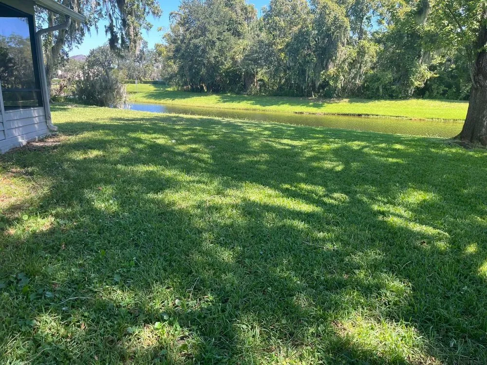 Trusted landscaping services for beautiful yards across Port Orange, FL - Flawless Reflections