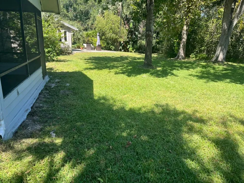 Custom yard cleanup service in Port Orange, FL by Flawless Reflections