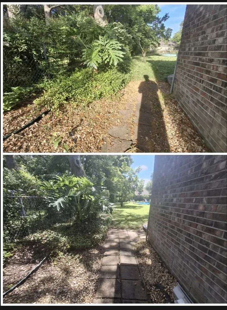 Expert yard cleanup service in Mary Esther, FL by Flawless Turf