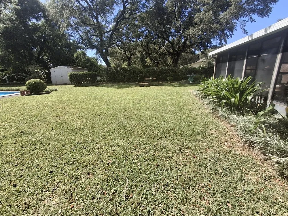 Local residential landscaping for year-round maintenance in Mary Esther, FL by Flawless Turf