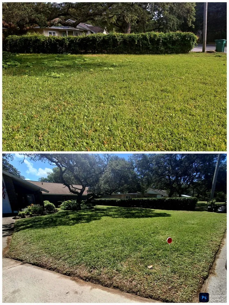Expert lawn care service for outdoor upgrades in Mary Esther, FL by Flawless Turf