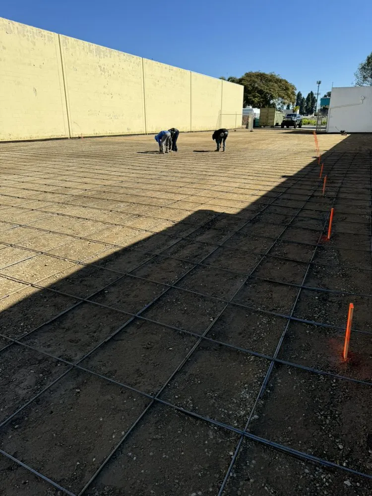 Reliable yard maintenance in Oxnard, CA by FLE Landscape & Construction