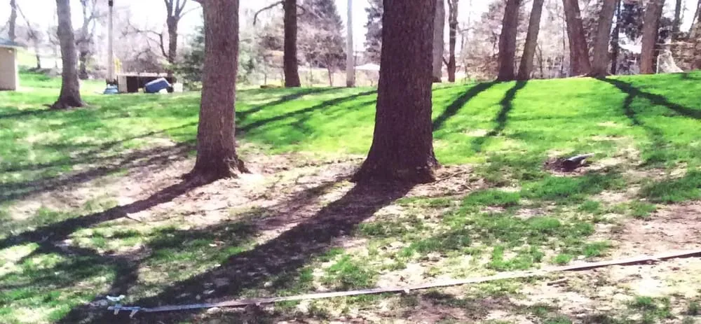 Affordable yard maintenance experts serving Bloomington, IN - Fleeners Landscape & Lawn Care