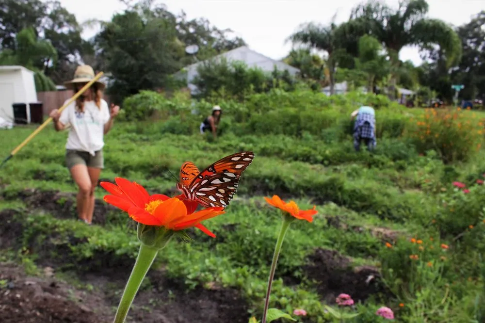 Affordable landscaping services with custom design in Orlando, FL by Fleet Farming