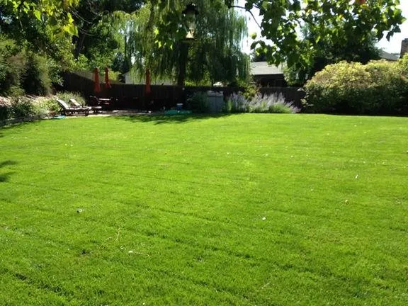 Trusted residential landscaping for outdoor upgrades in Springfield, OR by Fleetwood Lawn Care