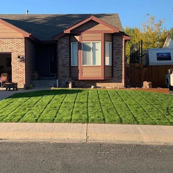 Professional yard maintenance in Springfield, OR - Fleetwood Lawn Care