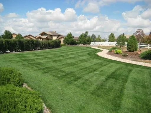 Reliable landscape design in Springfield, OR by Fleetwood Lawn Care
