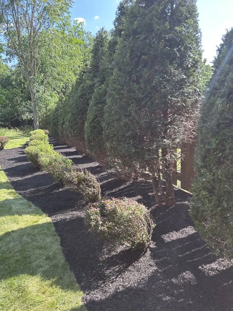 Professional landscape design for beautiful yards across Cheswick, PA - Fleming Landscaping & Home Improvements