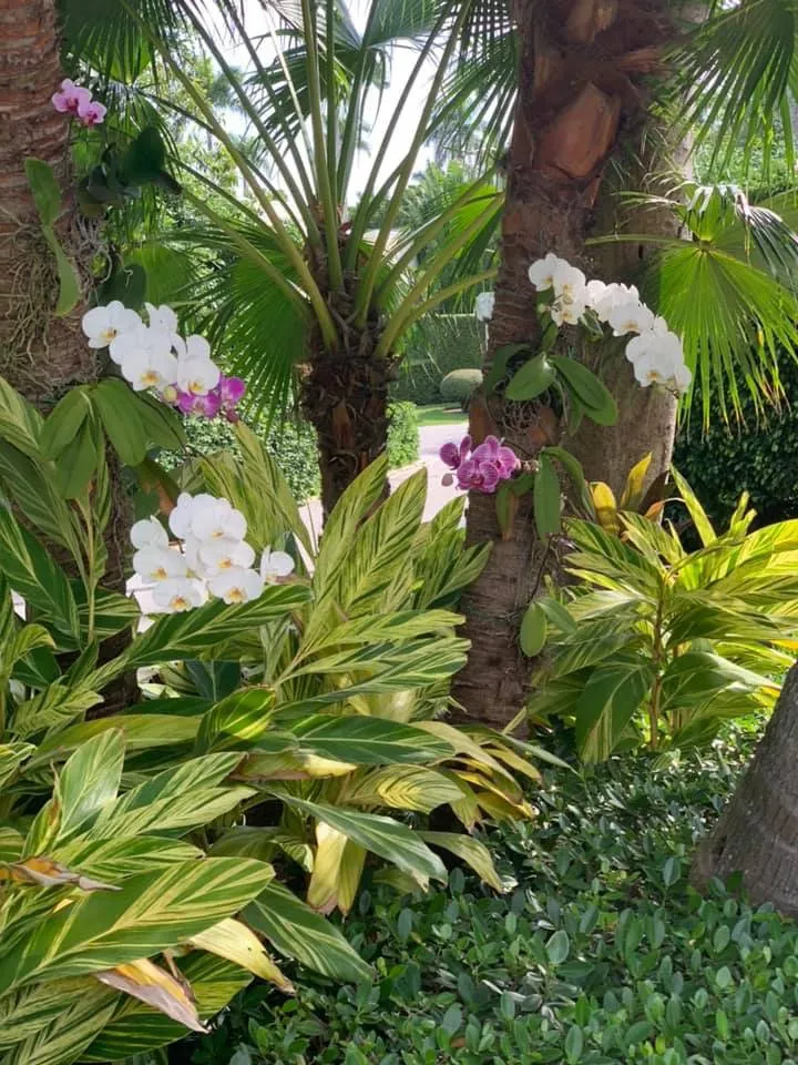 Expert landscape design for homes in Loxahatchee, FL by Fleming Lawn & Pest Services