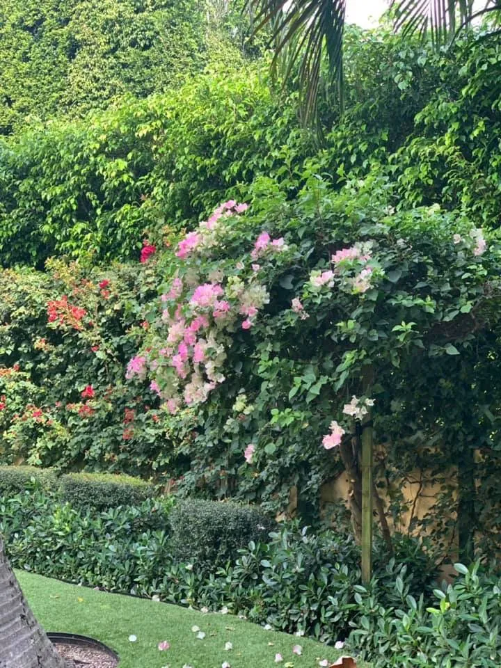 Local lawn mowing service in Loxahatchee, FL - Fleming Lawn & Pest Services