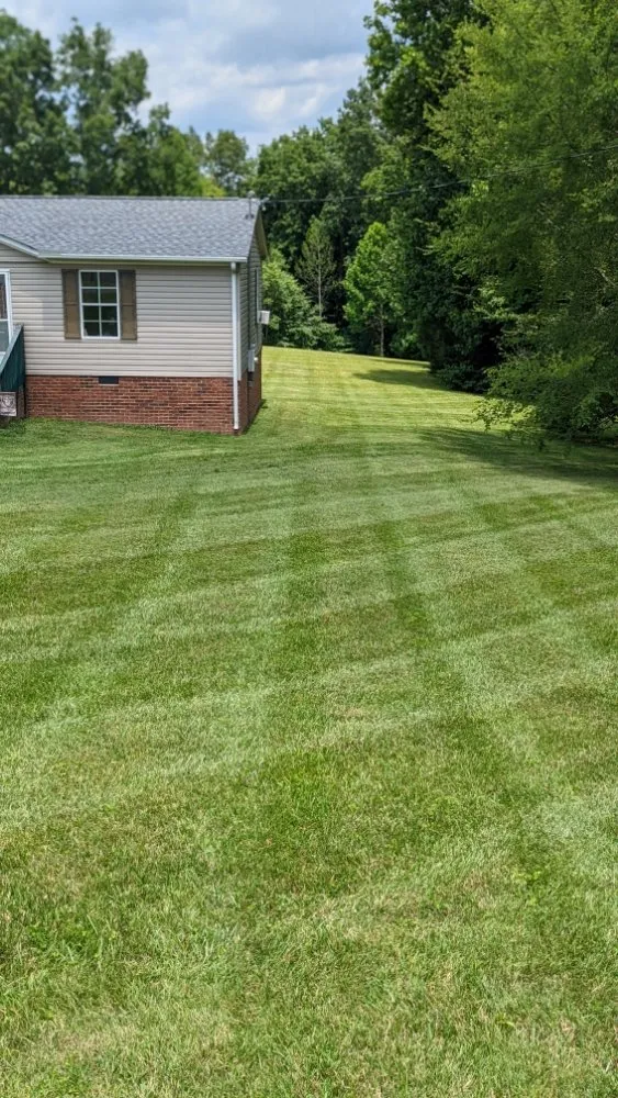 Top-rated landscaping services in McEwen, TN by Flemings Detailed Lawn Care