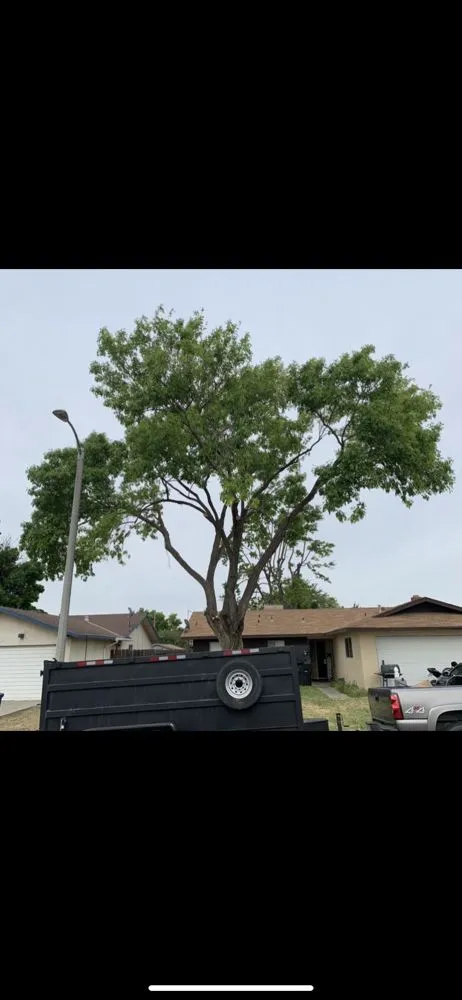 Professional landscape installation with custom design in Clovis, CA by Fleming’s Landscape