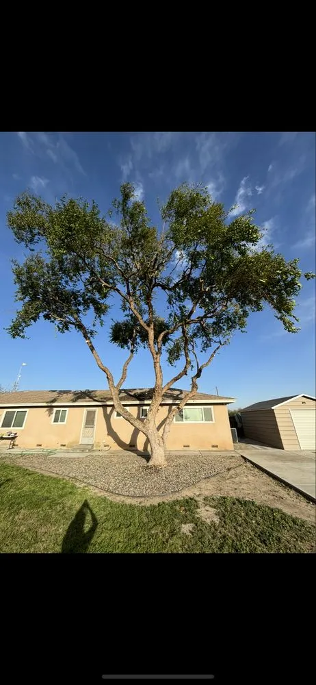 Trusted landscape installation in Clovis, CA - Fleming’s Landscape