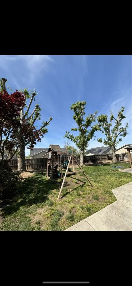 Reliable yard maintenance in Clovis, CA - Fleming’s Landscape