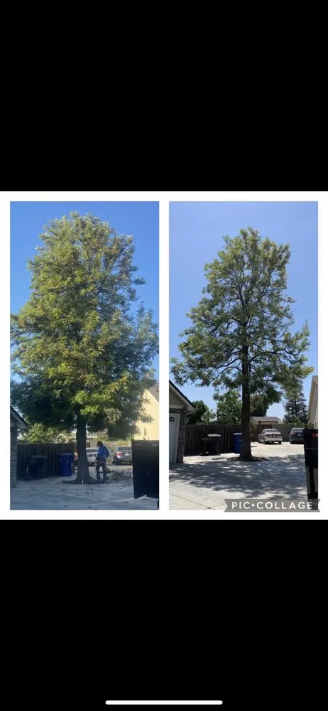 Local outdoor landscaping in Clovis, CA by Fleming’s Landscape