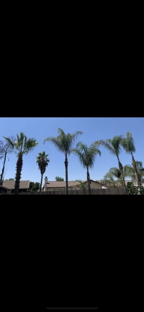 Local lawn care service for homes across Clovis, CA - Fleming’s Landscape