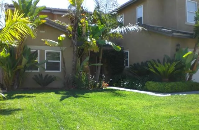 Expert yard cleanup service for homes in Spring Valley, CA by Fleming's Landscaping