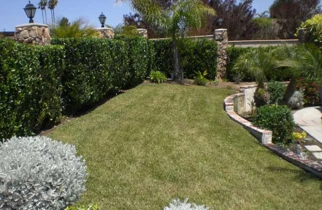 Trusted residential landscaping for homes across Spring Valley, CA - Fleming's Landscaping