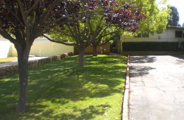 Top-rated yard maintenance experts serving Spring Valley, CA - Fleming's Landscaping