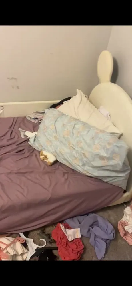 Expert yard cleanup service for residential properties in Beaufort, SC by Flents Lawn and Cleaning Services