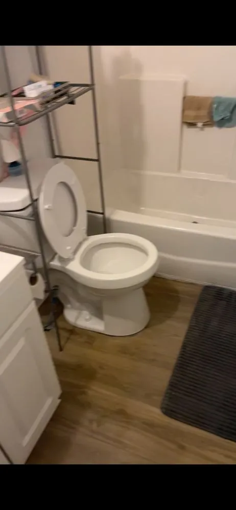 Local landscaping services in Beaufort, SC by Flents Lawn and Cleaning Services