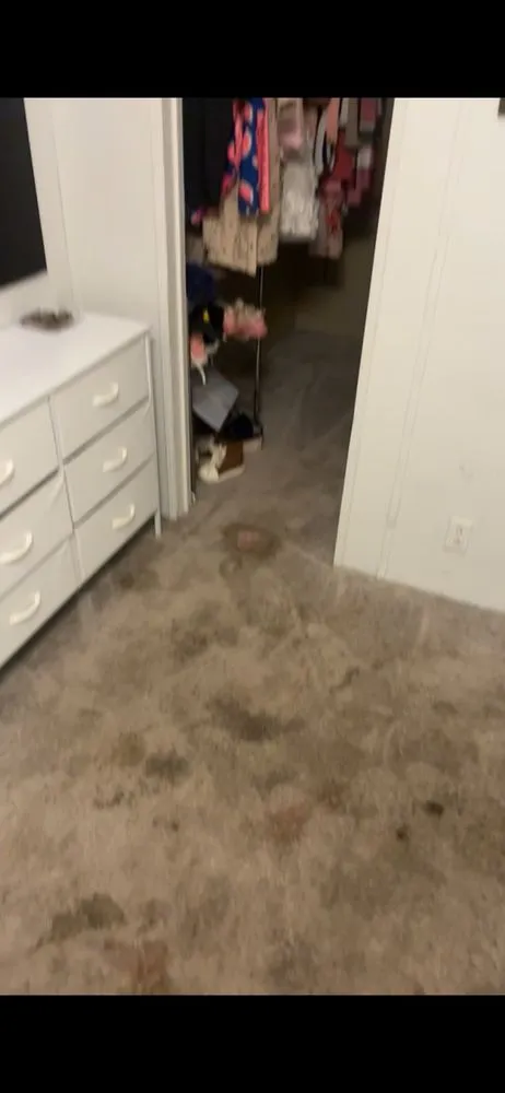 Top-rated outdoor landscaping near you in Beaufort, SC by Flents Lawn and Cleaning Services