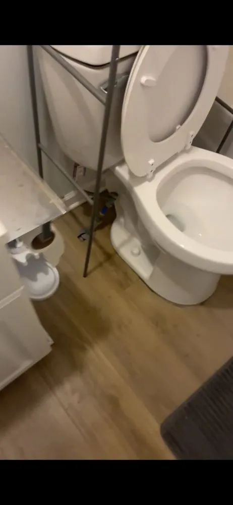 Top-rated yard cleanup service for year-round maintenance in Beaufort, SC by Flents Lawn and Cleaning Services