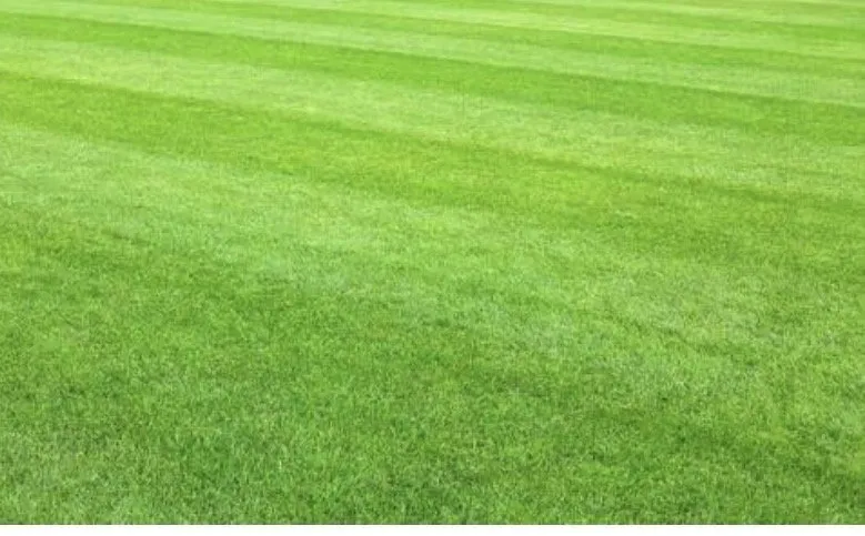 Expert outdoor landscaping experts serving Beaufort, SC - Flents Lawn and Cleaning Services