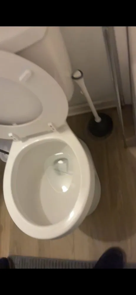 Custom landscaping services for year-round maintenance across Beaufort, SC - Flents Lawn and Cleaning Services