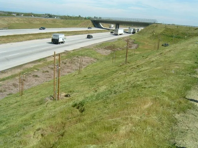 Trusted yard cleanup service experts serving Turlock, CA - Fletcher Landscape Maintenance