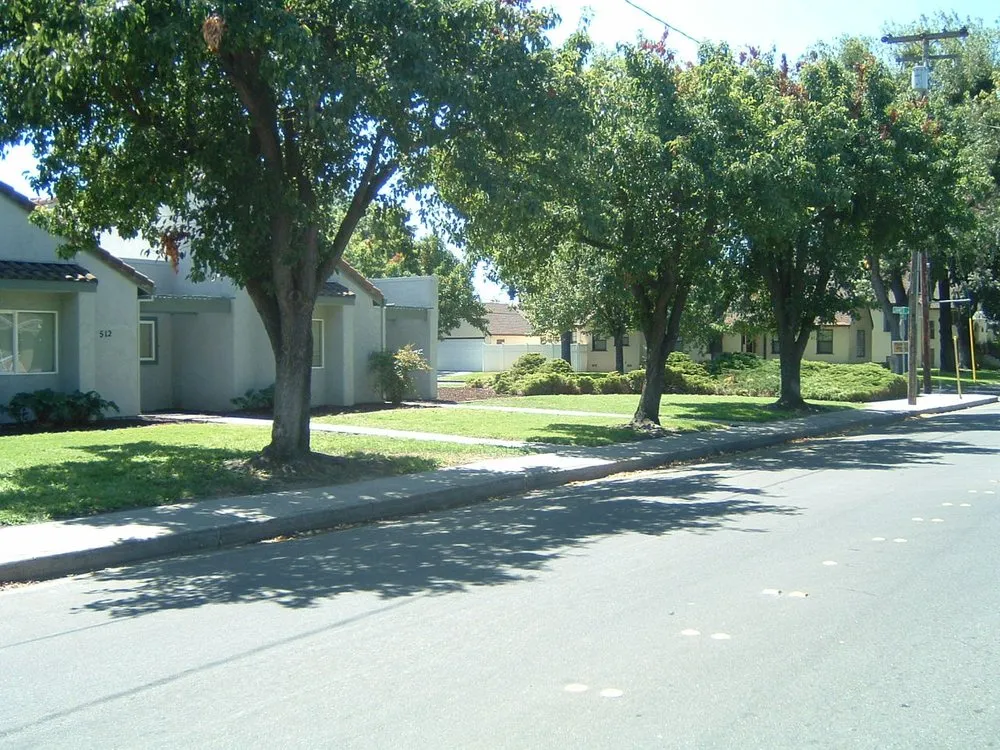 Expert yard maintenance in Turlock, CA by Fletcher Landscape Maintenance